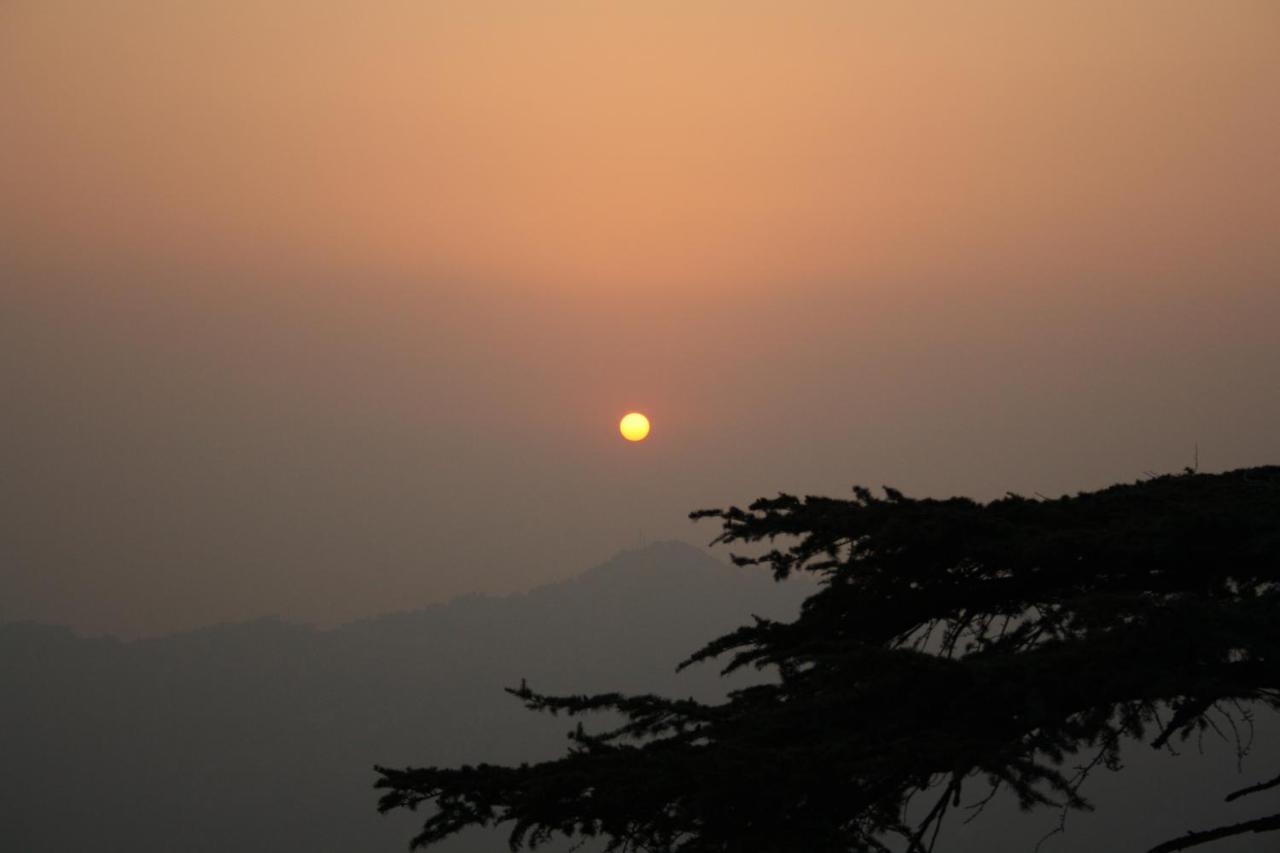 Honeymoon Inn Shimla Eksteriør bilde